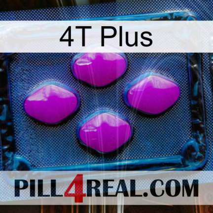 4T Plus 04